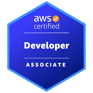 AWS Developer - Associate